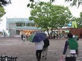 0605218s.jpg
