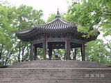 0605219s.jpg