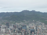 0605229s.jpg