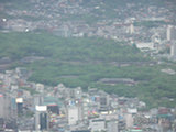 0605231s.jpg