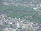 0605232s.jpg