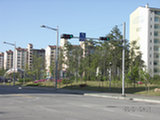 0605282s.jpg