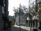 0605304s.jpg