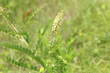 0606087s.jpg