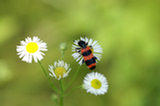 0606107s.jpg