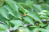 0606120s.jpg