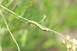 0606131s.jpg