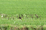 0606240s.jpg