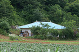 0606247s.jpg