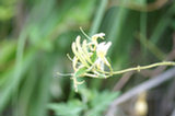 0606257s.jpg