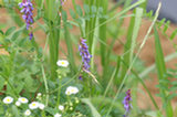 0606287s.jpg