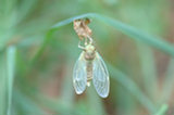 0606323s.jpg