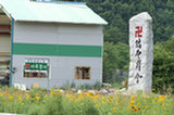 0606369s.jpg