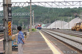 0606379s.jpg