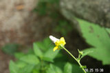 0606408s.jpg