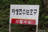0606409s.jpg