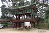 0606412s.jpg