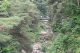 0606416s.jpg