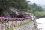 0606419s.jpg