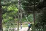 0606420s.jpg
