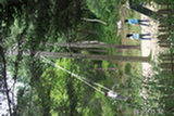 0606422s.jpg