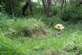 0606423s.jpg