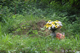 0606424s.jpg