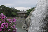 0606428s.jpg