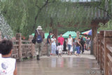 0606436s.jpg