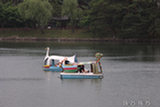 0606442s.jpg