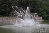 0606443s.jpg