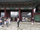 0606477s.jpg