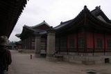 0606483s.jpg