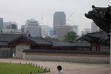 0606486s.jpg