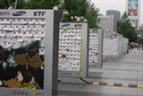 0606499s.jpg