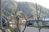 07ap28017s.jpg