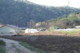 07ap28025s.jpg