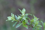 07ap28028s.jpg