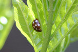 07ap28083s.jpg