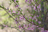07ap28084s.jpg