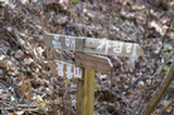 07ap28102s.jpg