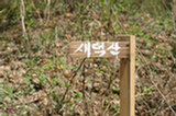 07ap28105s.jpg