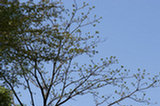 07ap28117s.jpg