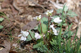07ap28118s.jpg
