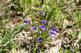 07ap28119s.jpg