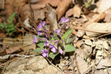 07ap28121s.jpg