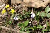 07ap28149s.jpg