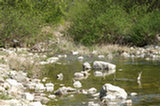 07ap28193s.jpg