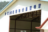 07ap28202s.jpg