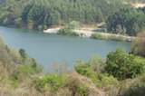 07ap28239s.jpg